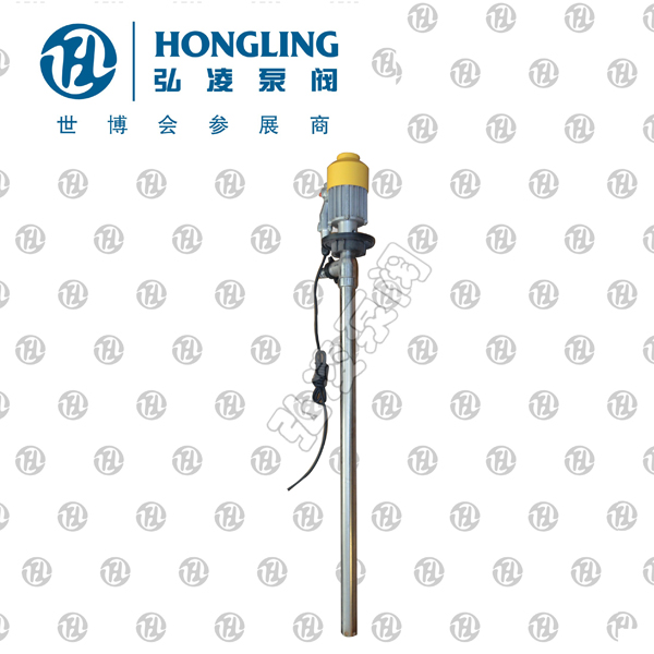 電動(dòng)抽油泵